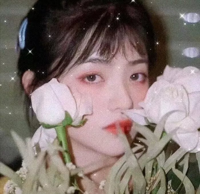 好莱坞怪物